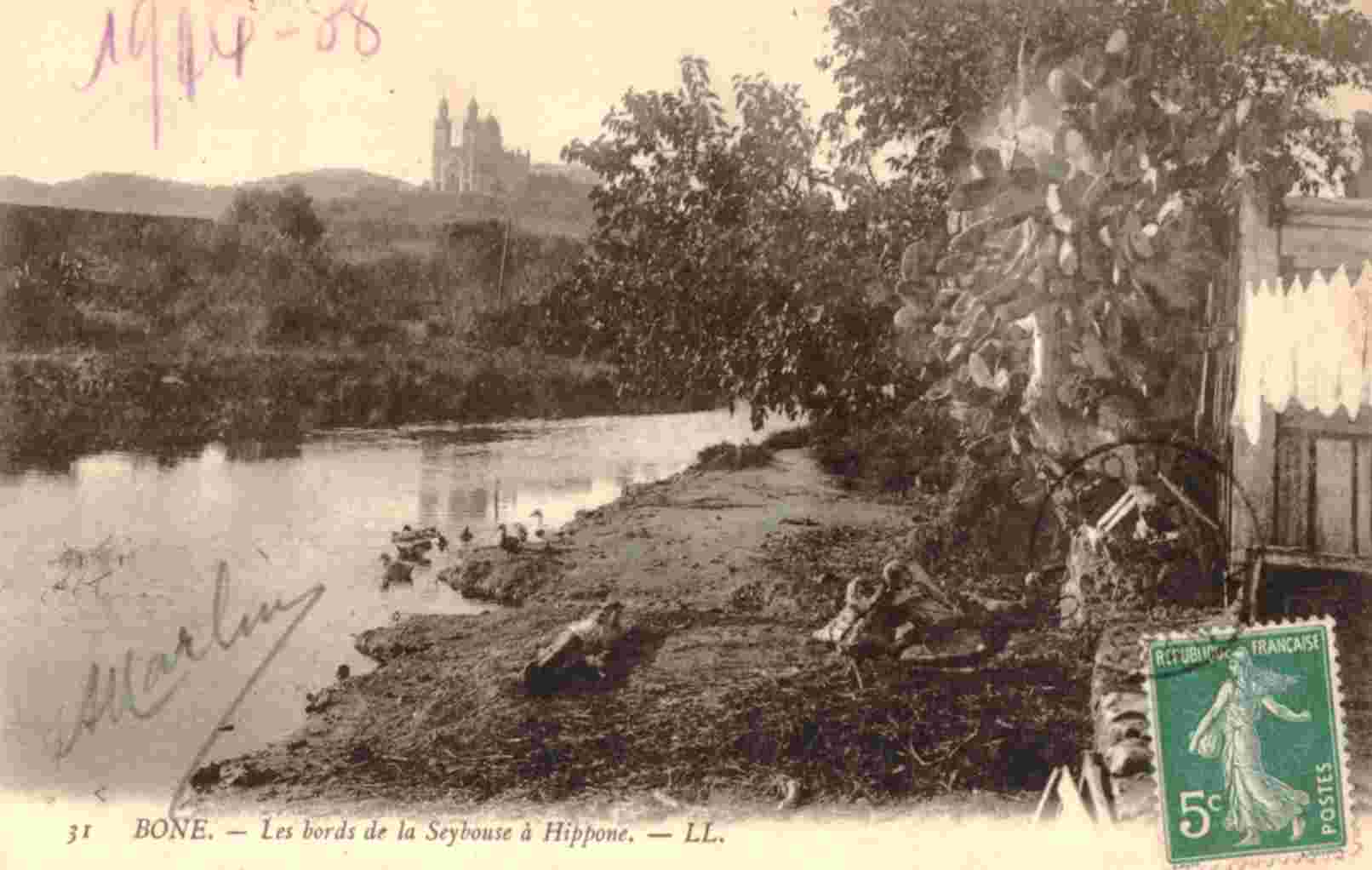 Les bords de la Seybouse